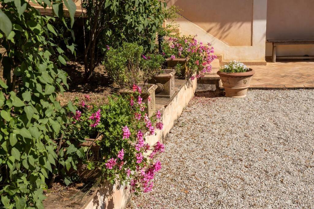 Apartment In Nature,10Min From City Perugia Buitenkant foto