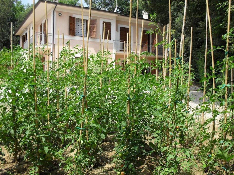 Apartment In Nature,10Min From City Perugia Buitenkant foto