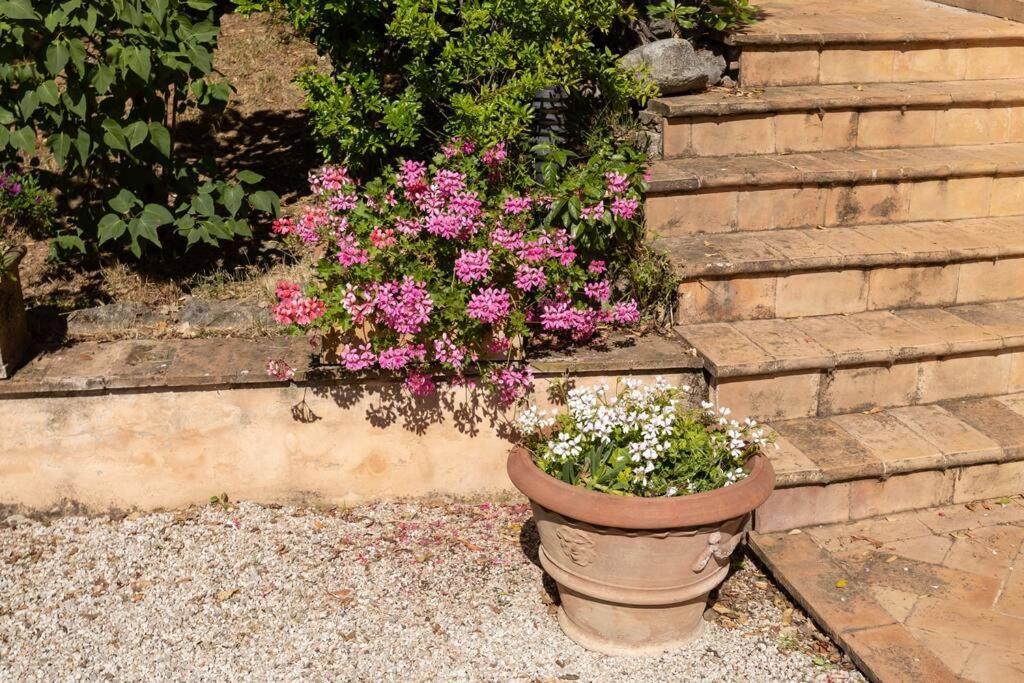 Apartment In Nature,10Min From City Perugia Buitenkant foto